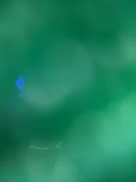 XXX chat uživo modela saracaball_
