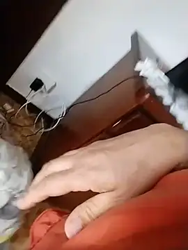 oxavector Chat XXX live