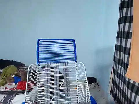 barbara_anal_squirt_のライブXXXチャット