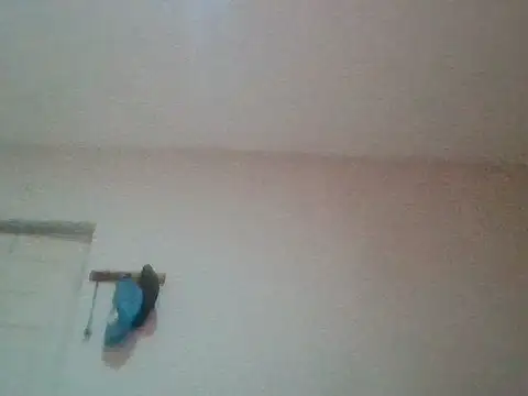 bafeng Pertunjukan Webcam