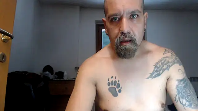 AMIRDIB2025 élő XXX-chatje