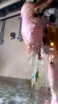 mspatience Live XXX-Chat