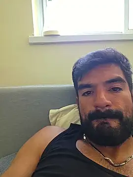 Show Webcam de piggylatino