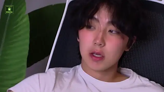 HeejinWang Webcam-Show