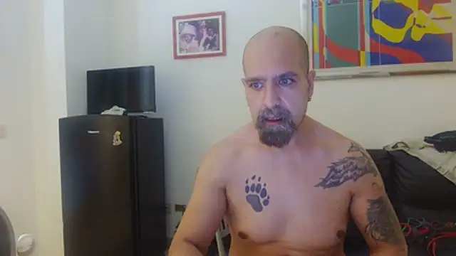AMIRDIB2025 live XXX chat