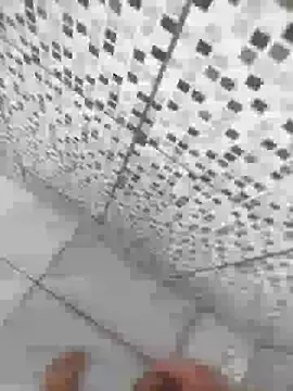 Novin23cms Webcam Show