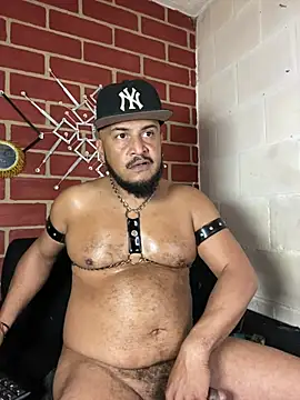 the_master_foal_ 라이브 XXX 채팅