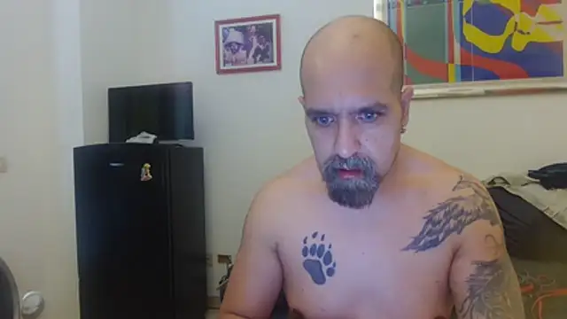 Show de webcam de AMIRDIB2025