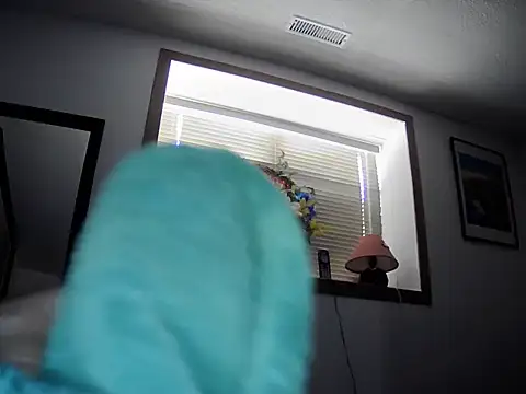 Ronan_rick webcam show