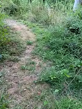 Cooljm6 Live XXX-chat