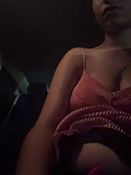 torchermachine webcam show