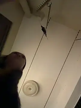 jingya521 Chat XXX in diretta