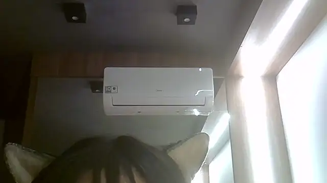 Show de webcam de SkinnyKitten