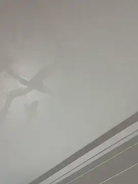 vietAnhzip Pertunjukan Webcam