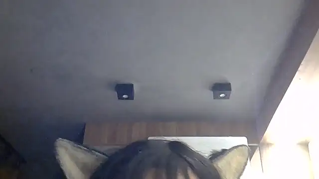 Chat XXX ao vivo de SkinnyKitten