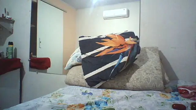 Vanessinhadappkrosa 라이브 XXX 채팅
