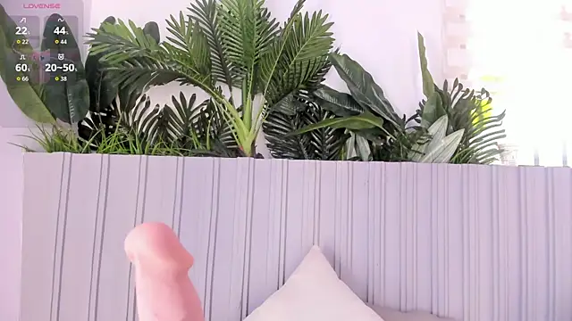 Chat +18 de stephanymonroe ao vivo