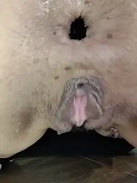 Chat XXX Live HottCandy21