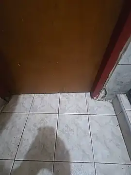 Show modela pepinoporelculo na web-kameri