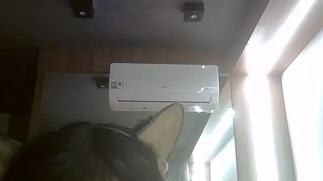 Show de webcam de SkinnyKitten
