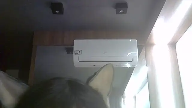 Show de webcam de SkinnyKitten