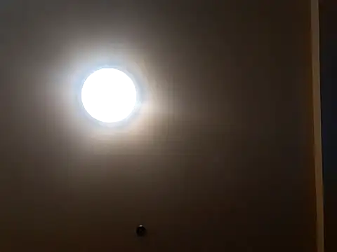 Brucejuce6669 ওয়েবক্যাম শো