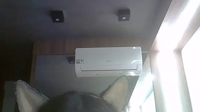 Show Webcam de SkinnyKitten