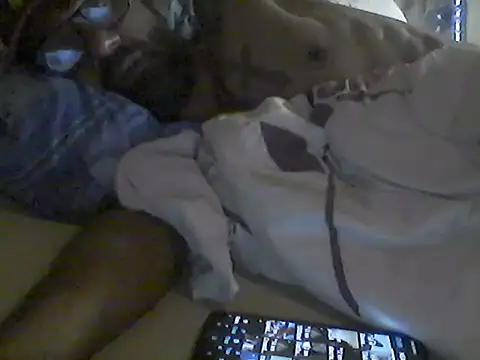Show Webcam de pigDany