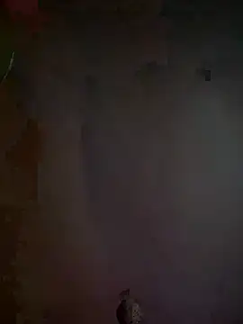 Bartekk2108 Show Webcam