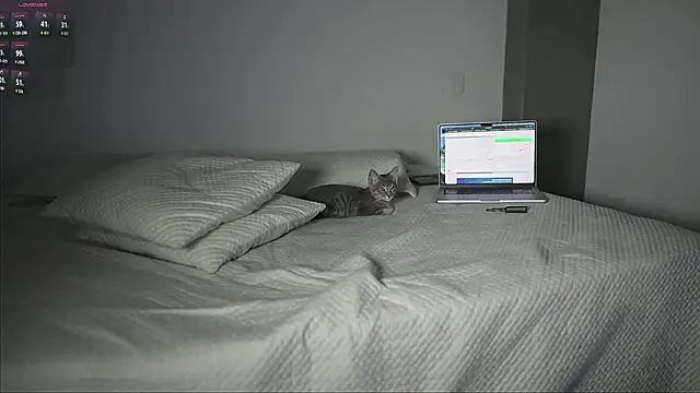 simoon_01 Adlı Modelin Canlı XXX Sohbeti