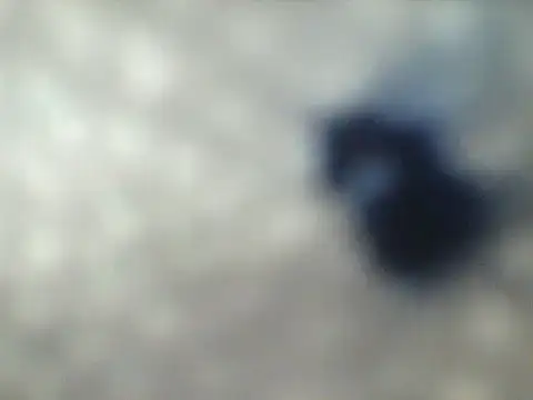 הופעת וובקאם של angellaalexa3