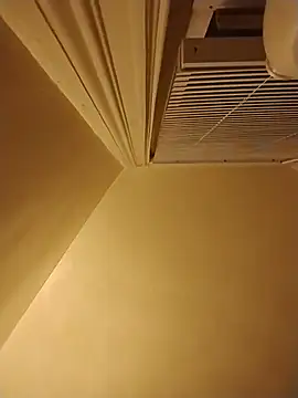 priceC411 ওয়েবক্যাম শো