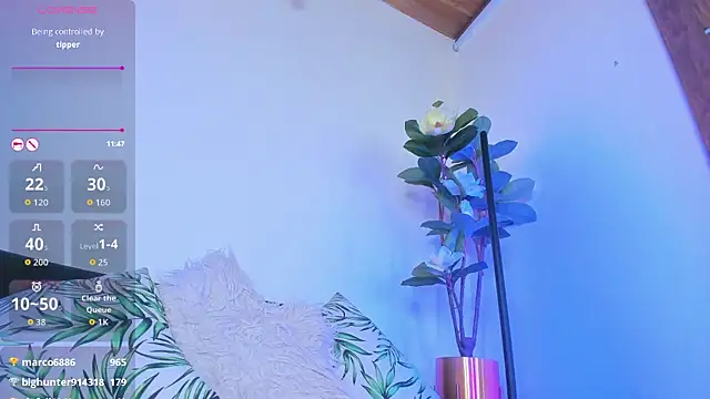 Chat XXX Live artemis_nyx