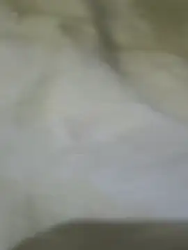 Me3l's Webcam Show