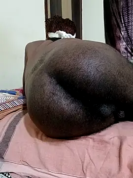 Chat XXX Live Chocolate_stud10