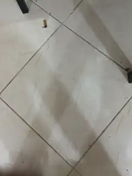 Labelleamira Pertunjukan Webcam