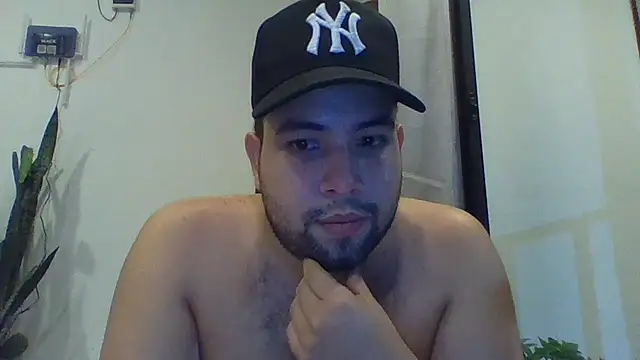 Dalton_sn Webbikameraesitys