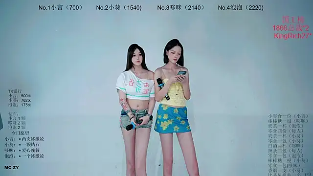 Nd-ING Show Webcam