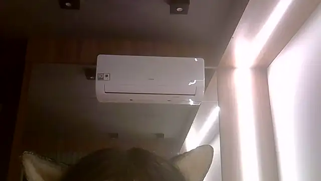 Chat +18 de SkinnyKitten ao vivo