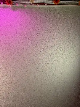 Czat XXX na żywo – TranSexualJade95