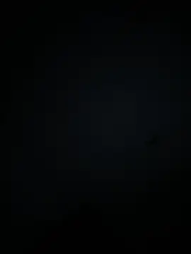 vanellopeFoxx élő XXX-chatje