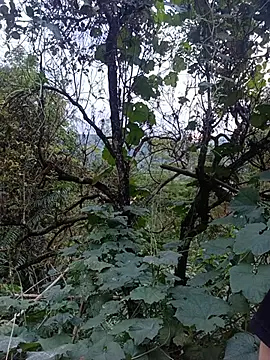 meg_06 现场XXX聊天