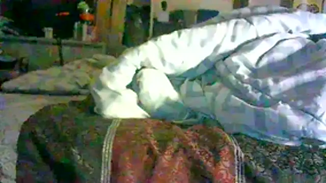 Show webcam de CR3M3_FIR3