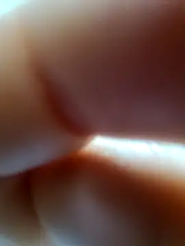 bch1045 Webcam show