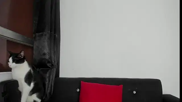 Onion_knight's Live XXX Chat