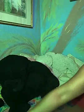 Chat XXX ao vivo de SeductressGem