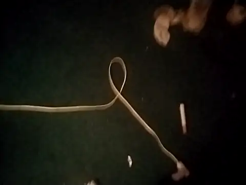 Idfuckme ওয়েবক্যাম শো