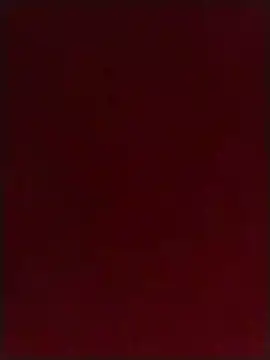 SteveBig91 live XXX chat