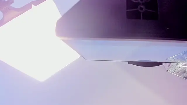 Bella_rochee 现场XXX聊天