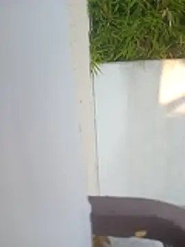 arouane Webcam-Show